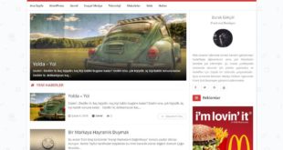 wordpress-hex-blog-temasi